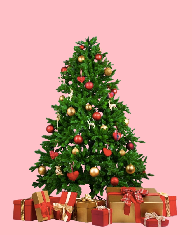 14d489b0adc381c50bf1d757ec2d224be8d0500cd0e0e-8O4GrG_fw658webp-removebg.png