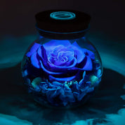 Apragaz Preserved Real Roses with Colorful Mood Light Wishing Bottle, Eternal Rose，Never Withered Flowers, in glass,Table Decor,Christmas Anniversary Valentine's, Blue 4.3inch, 1pcs