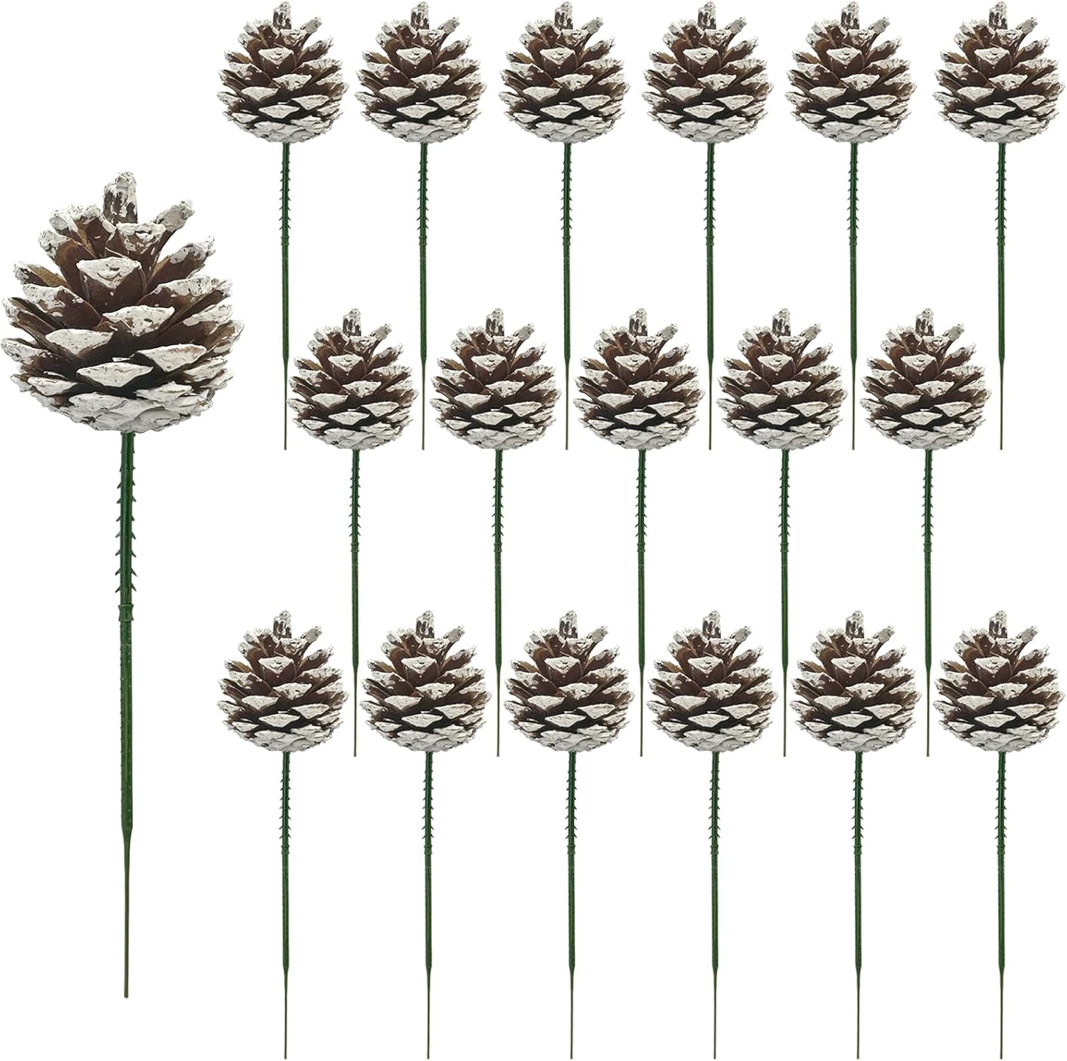 71COzcwBbmL._AC_SL1500.jpg