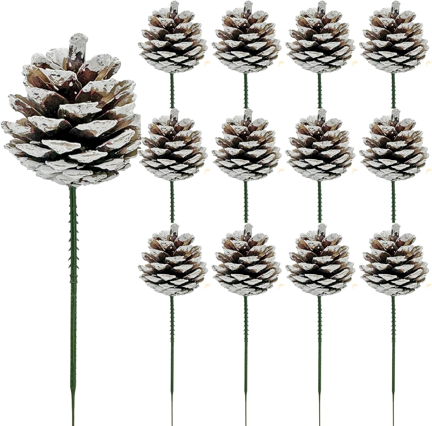 71ogeiQ_seL._AC_SL1500.jpg