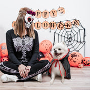 Halloween Costumes for Dogs, Vampire Cloak for Cat, Comfortable Soft Dog Witch Clothes, Red & Black Dog Cape Costume for Small Medium Cat Puppy,Funny Dog Role Play Witch Costumes for Halloween Party