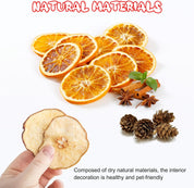 Christmas Potpourri Bowl Filler –Dried Fruits Fragrance with Dried Apple Orange Slice Cinnamon Stick Larch Cones Anise-Christmas Potpourri Fruits Scented for Holiday Table Centerpieces Decoration