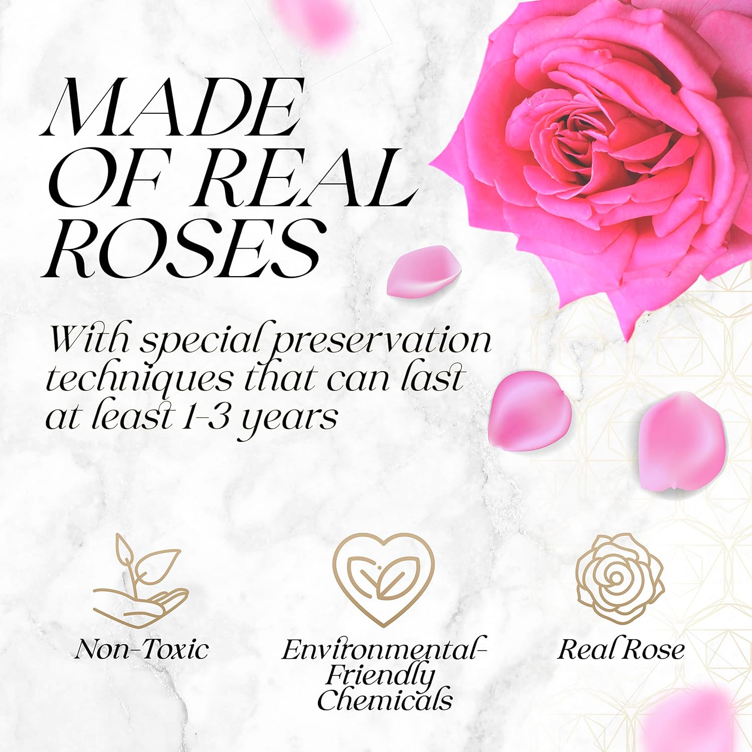 Preserved Roses in a Box - Valentines Day Gifts for Her & Mom, 16-Piece Rose Flowers Decor for Birthday Gift, Cased in White Box with Acrylic Cover,Made From a Real Rose 6.9" x 6.9" x 5.5" - Pink