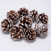 20 PCS Christmas Pine Cones, 2-2.4 Inch Large Natural Pine Cones, Snow Pinecones with 5 Inch Wired Pick for Christmas Tree, Holiday Wreath Garland Ornaments DIY Craft Decorations