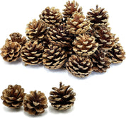 30pcs Christmas Large Pine Cones with Gold Glitter, 1.2-2 inch Natural Pinecones for Decorating, Pine Cones Decorations for Fall, Christmas DIY Crafts,Vase & Bowl Filler,Home Decor,Thanksgiving,Winter
