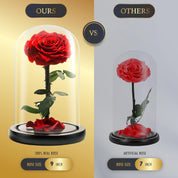 Forever Preserved Rose - Eternal Rose in Glass Dome - Beauty and The Beast Rose for Mom - Fresh Flowers for Delivery-gift for friend (Red, 9 Inch)
