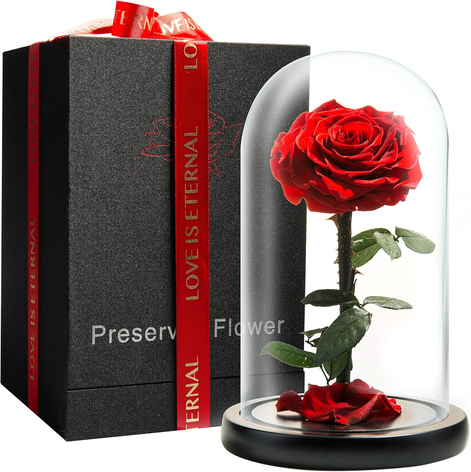 Forever Preserved Rose - Eternal Rose in Glass Dome - Beauty and The Beast Rose for Mom - Fresh Flowers for Delivery-gift for friend (Red, 9 Inch)