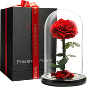 Forever Preserved Rose - Eternal Rose in Glass Dome - Beauty and The Beast Rose for Mom - Fresh Flowers for Delivery-gift for friend (Red, 9 Inch)
